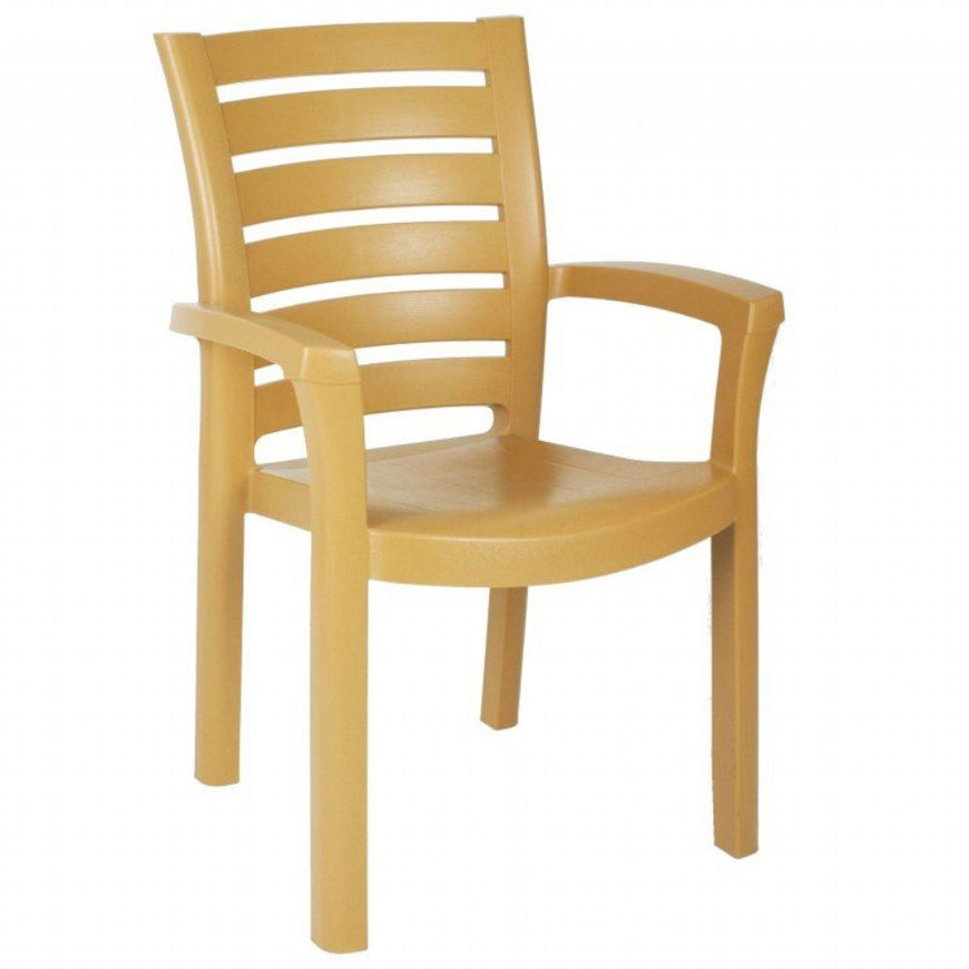 Picture of Marina Resin Dining Arm Chair