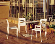 Picture of Lucca Dining Chair
