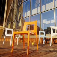 Picture of Lucca Dining Chair