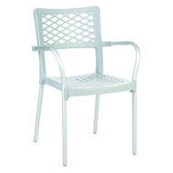 Picture of Bella Resin Dining Arm Chair