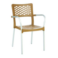Picture of Bella Resin Dining Arm Chair
