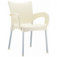 Picture of Romeo Resin Dining Arm Chair