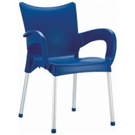 Picture of Romeo Resin Dining Arm Chair