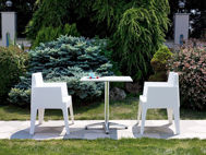 Picture of Box Resin Outdoor Dining Arm Chair