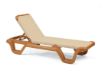 Picture of Marina Adjustable Sling Chaise Lounge